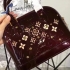 Louis Vuitton Bag 007